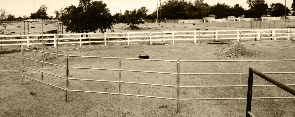 Inside view of Long Run Ranch shelter