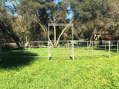 4 Rail Style Round Pen