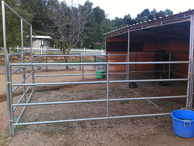 12ft x 36ft Open Front 4 Rail Style Shelter