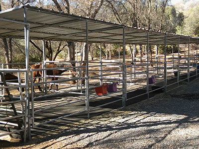 12ft x 96ft 4 Rail Style Shed Row