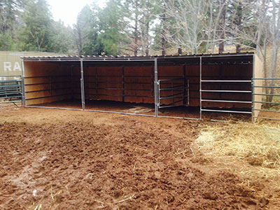 12ft x 36ft 4 Rail Style Shelter